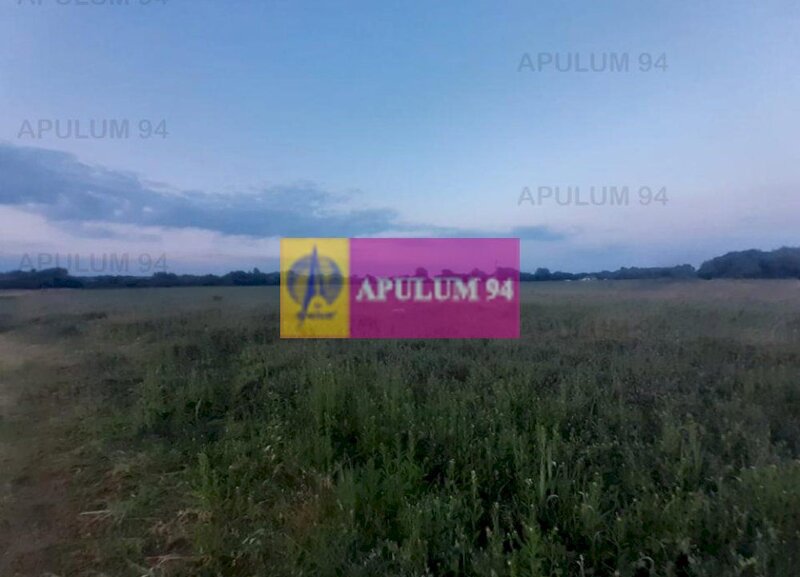 Teren aproape de Bucuresti langa padure