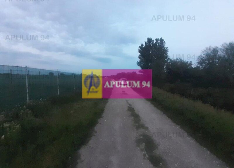 Teren aproape de Bucuresti langa padure