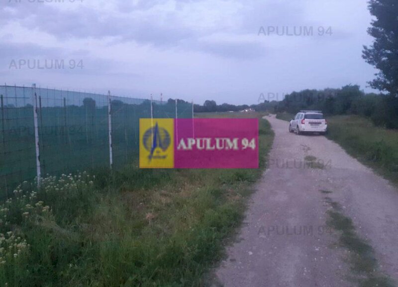 Teren aproape de Bucuresti langa padure