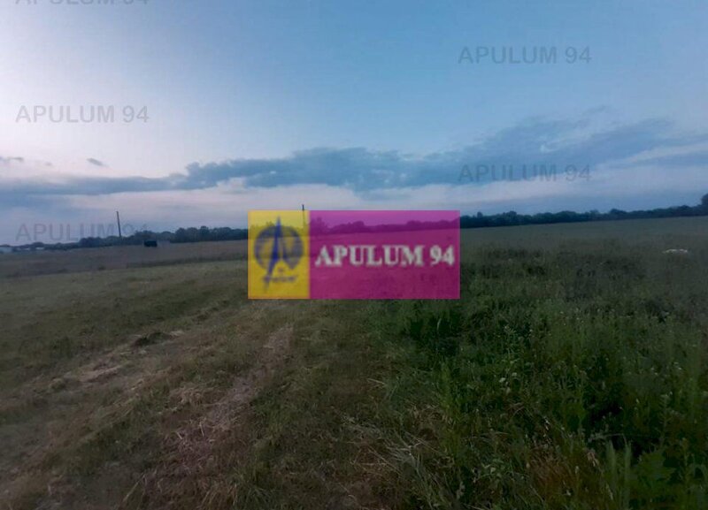 Teren aproape de Bucuresti langa padure