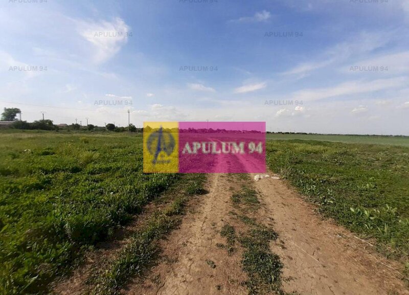 Teren aproape de Bucuresti langa padure